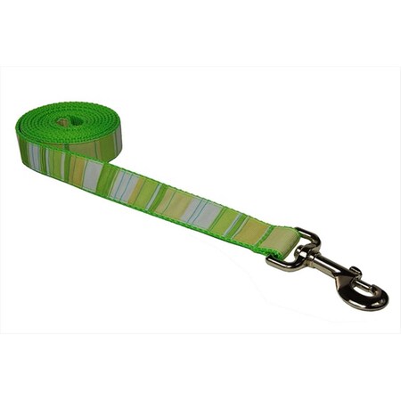 FlyFree STRIPE-GREEN-MULTI3-L 6 ft. Multi Stripe Dog Leash44; Green - Medium